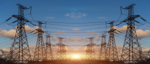 Public electric utility replaces